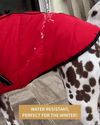 50% RABATT NUR HEUTE | PawParka™ - 3 in 1 Winterjacke