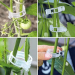 3+1 GRATIS HEUTE | StemHold™ - Pflanzenclips