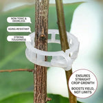 3+1 GRATIS HEUTE | StemHold™ - Pflanzenclips