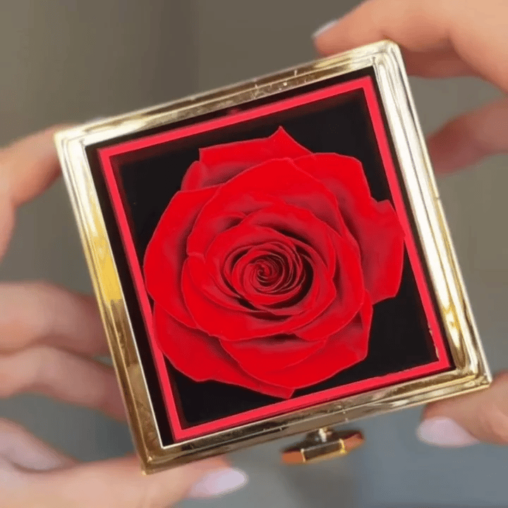 50% RABATT NUR HEUTE | RoseReveal™ - Ewige Rosen-Geschenkbox