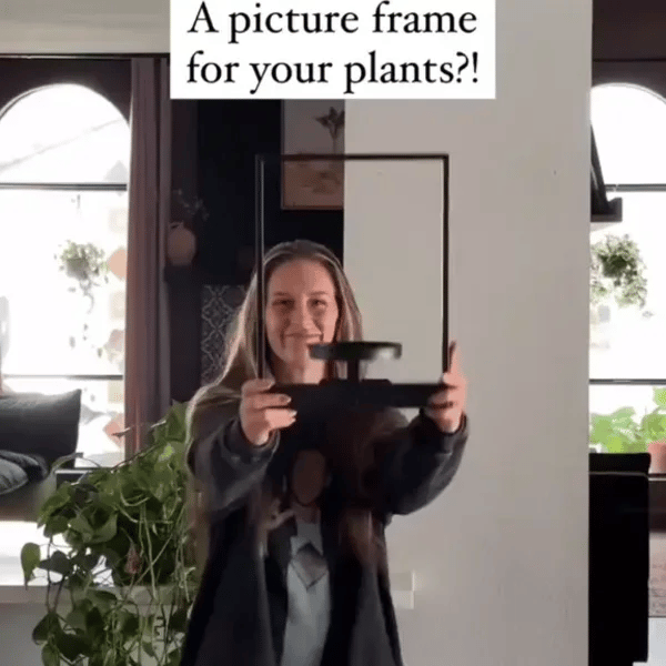 50% OFF TEMPORÄR  FloraView™