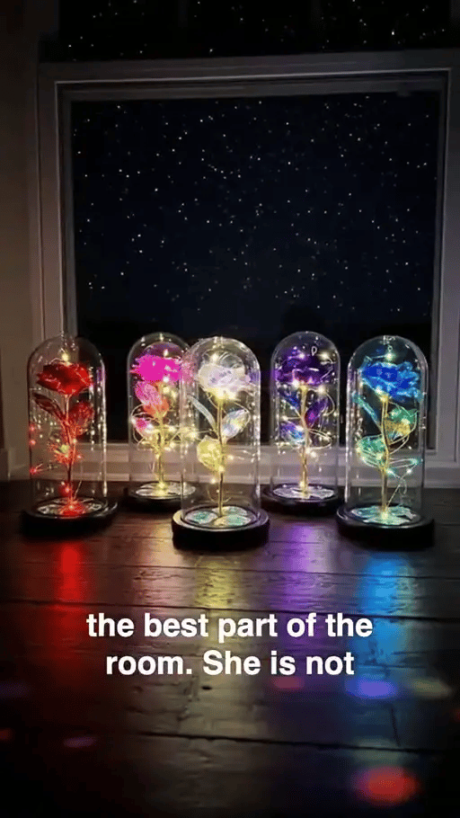 50% RABATT NUR HEUTE  EverRose™ - Galaxie-Rosendisplay