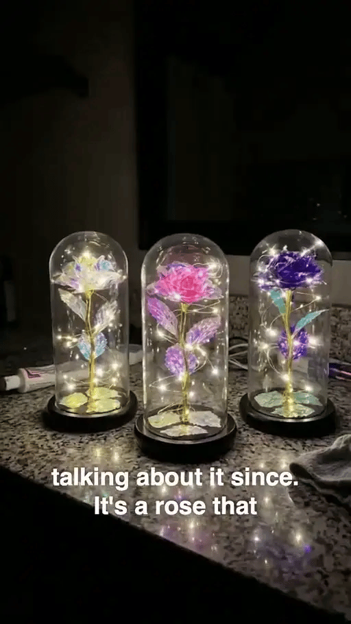 50% RABATT NUR HEUTE  EverRose™ - Galaxie-Rosendisplay
