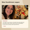 50% RABATT NUR HEUTE | BerryGlow™ - Beleuchteter Mini-Weihnachtsbaum