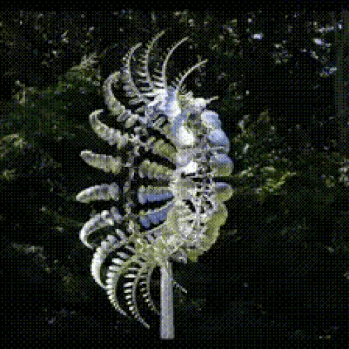 50% OFF TEMPORÄR  WindFleur™
