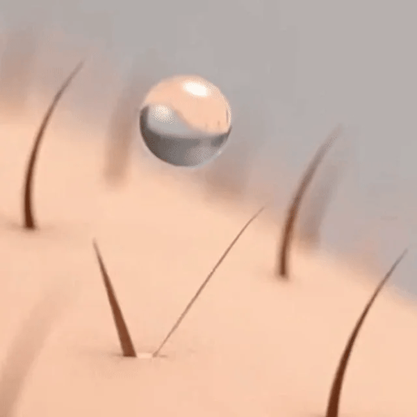 1+1 GRATIS HEUTE  Virelle™ - Hautserum