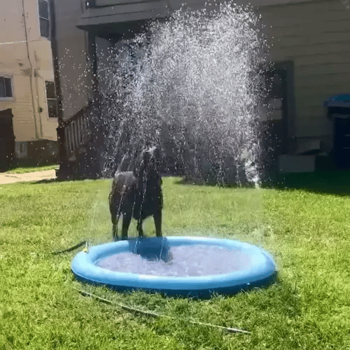 50% OFF TEMPORÄR  SplashPaws™ - Splashpad
