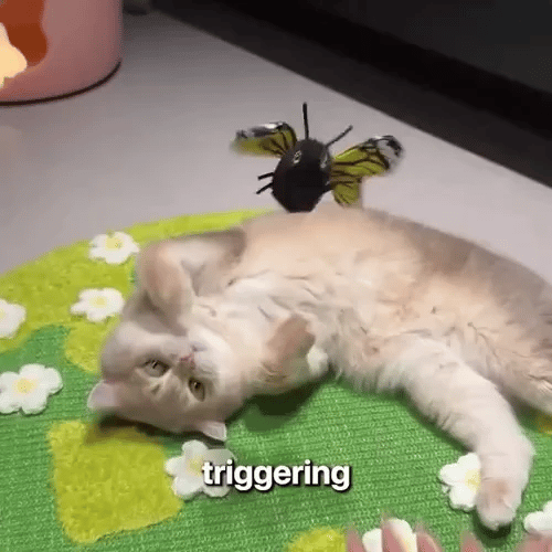 50% RABATT NUR HEUTE  PawBuzz™ - Interaktives fliegendes Katzenspielzeug