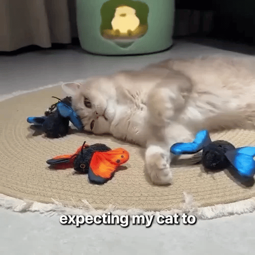 50% RABATT NUR HEUTE  PawBuzz™ - Interaktives fliegendes Katzenspielzeug