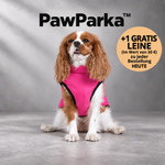 50% RABATT NUR HEUTE | PawParka™ - 3 in 1 Winterjacke