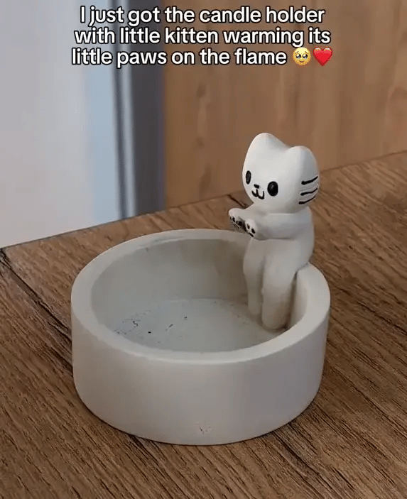 1 + 1 GRATIS HEUTE  FelineFlame™ 