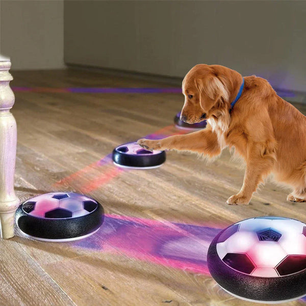 50% OFF TEMPORÄR  GlowRover™