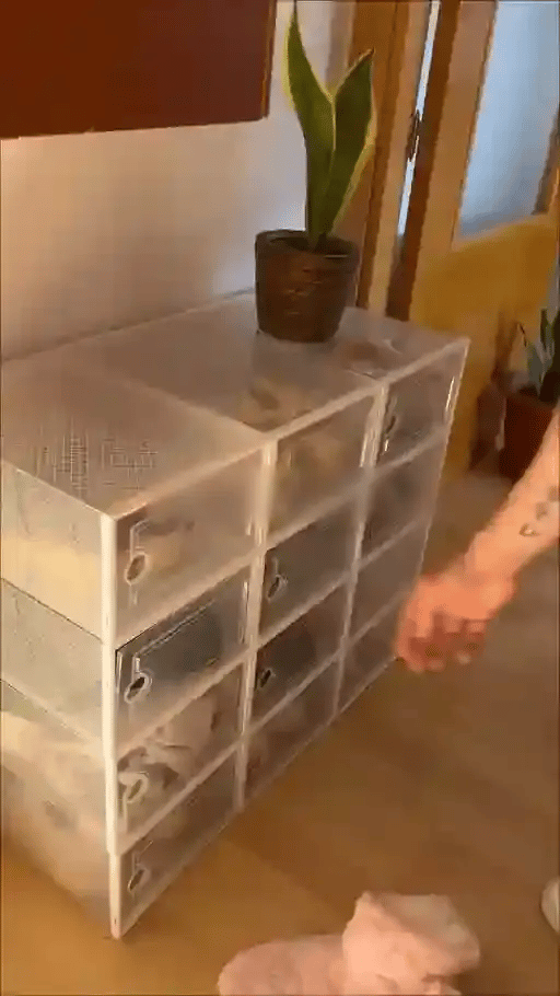 3 + 3 GRATIS HEUTE  ShoeStack™