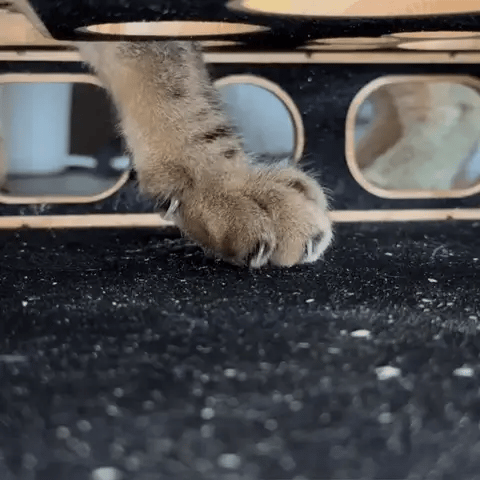 50% OFF TEMPORÄR  ScratchHub™