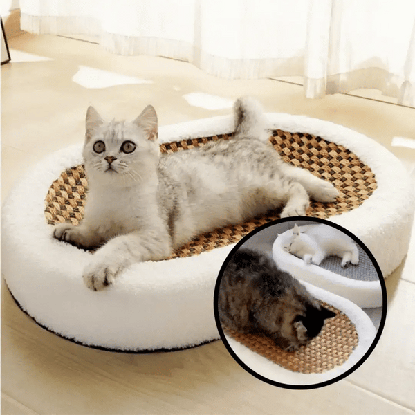 50% OFF TEMPORÄR  ScratchNest™