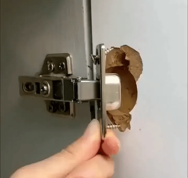 5 + 5 GRATIS HEUTE  HingePlate™ - Schrank-Fix