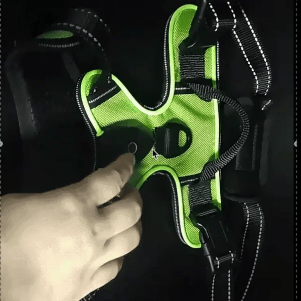 50% OFF TEMPORÄR  GloLeash™