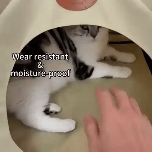 50% OFF TEMPORÄR  PawTent™