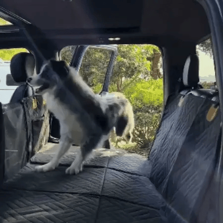 50% RABATT NUR HEUTE | PawDeck™ - Autositzverlängerung für Hunde