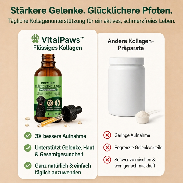 1+1 GRATIS HEUTE  VitalPaws™ - Flüssiges Kollagen