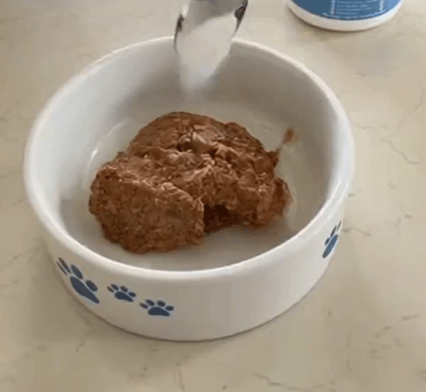 50% RABATT NUR HEUTE  PetVital™ Taurinpulver