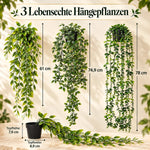 greendrape™ – Deutsche Produktansicht